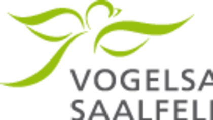 Volunteering at Vogelsangschule Saalfelden     