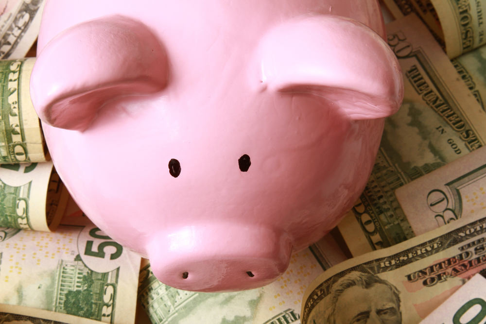 Symbolfoto Rosa Schwein auf Geld sitzend