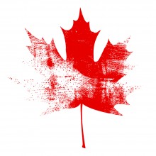 das rote Blatt der kanadischen Flagge