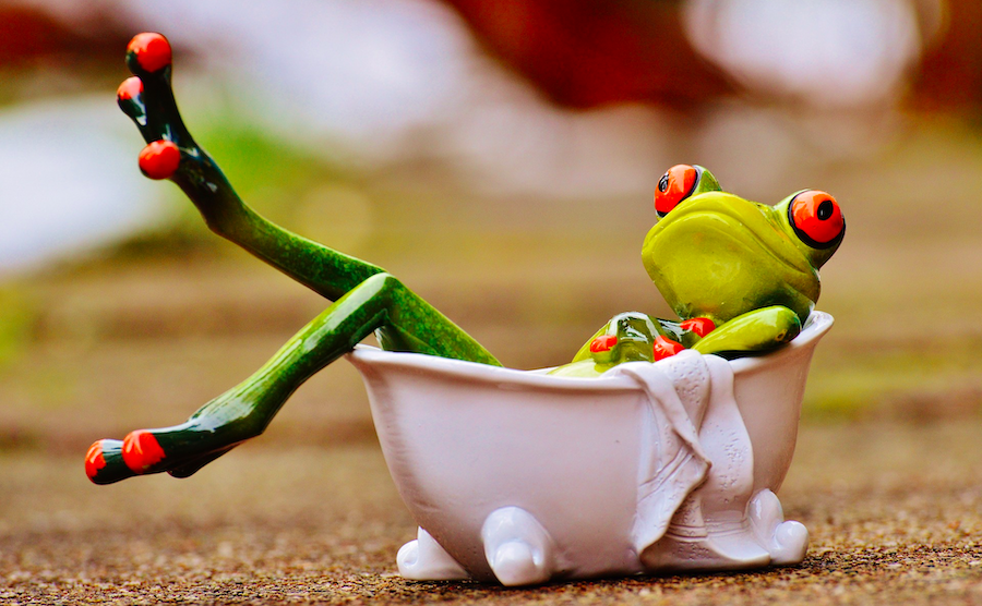 Hygiene und Körperpflegetipps vom Frosch in der Badewanne