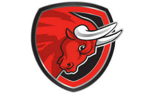 SALZBURG BULLS