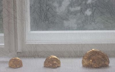 Ausstellung::Bernd Koller „BAUMDENKEN“
